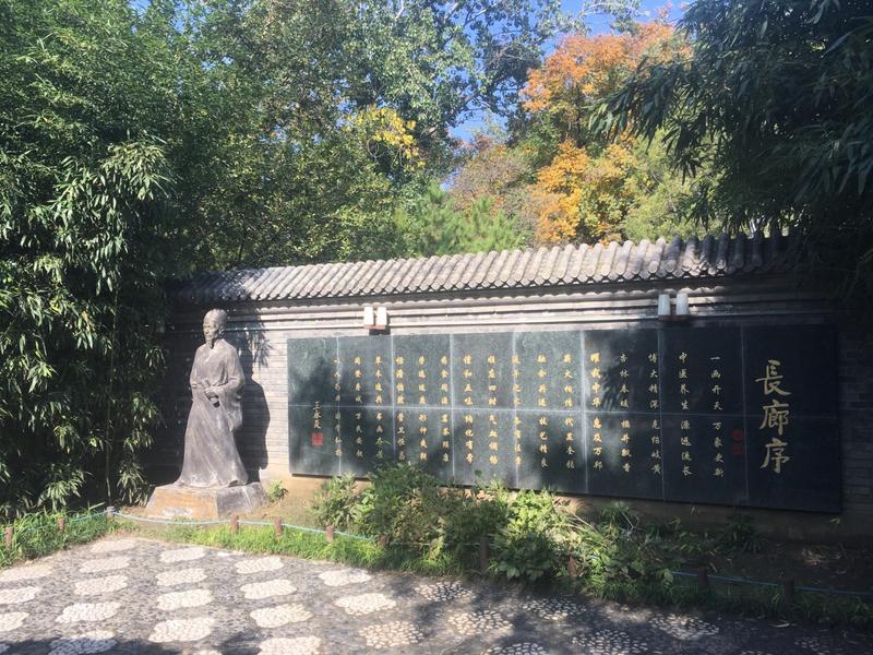 地坛公园七朵金花