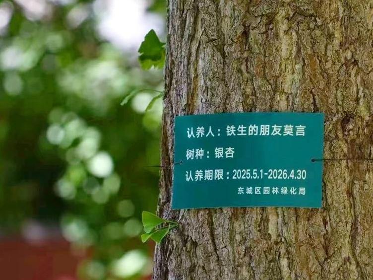 地坛莫言的树在哪