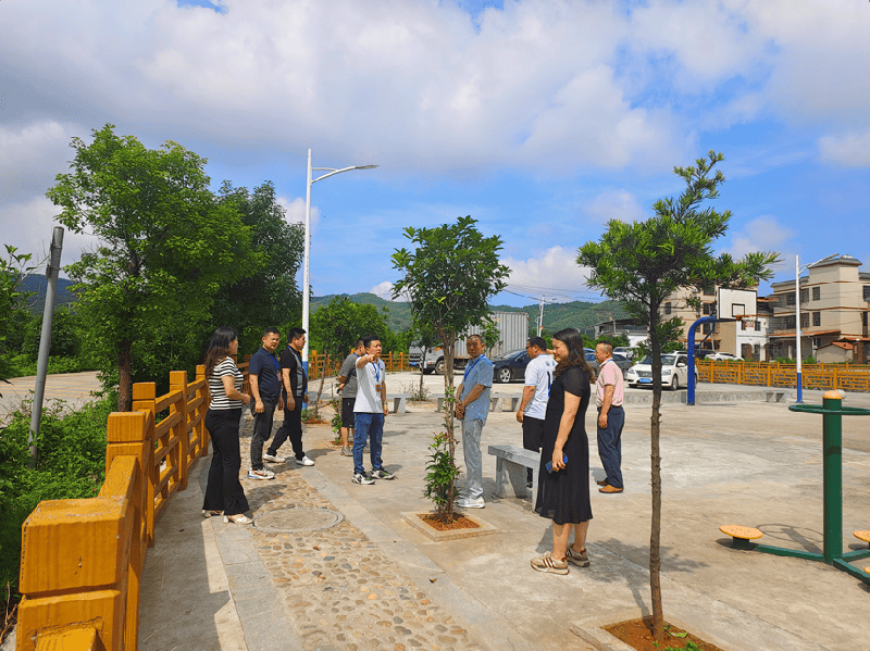 坝美镇有几个村委会