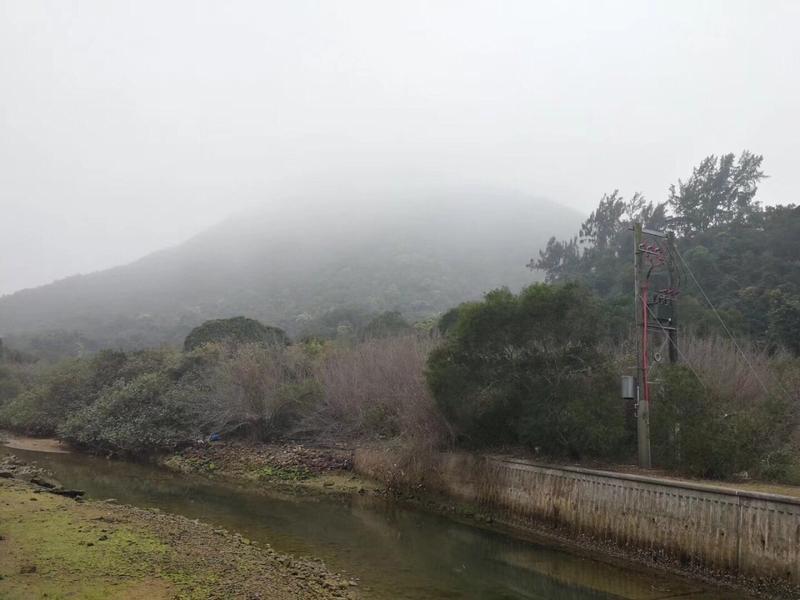塘朗山海拔多少米高