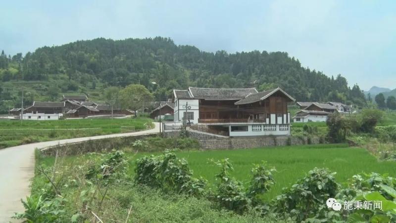 塘溪镇有哪些村