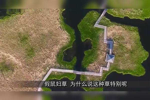 塞罕坝是哪个省