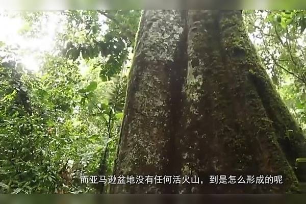 大围山饮用天然泉水