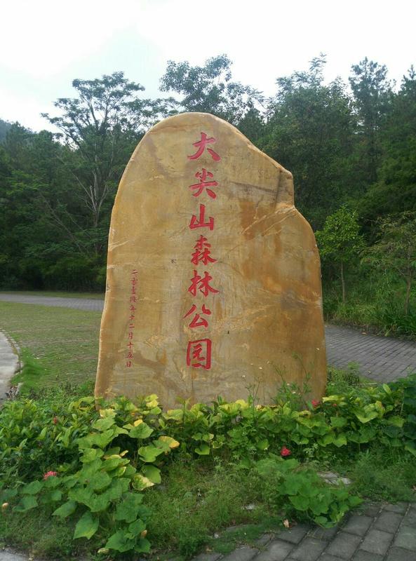 大尖山露营公园