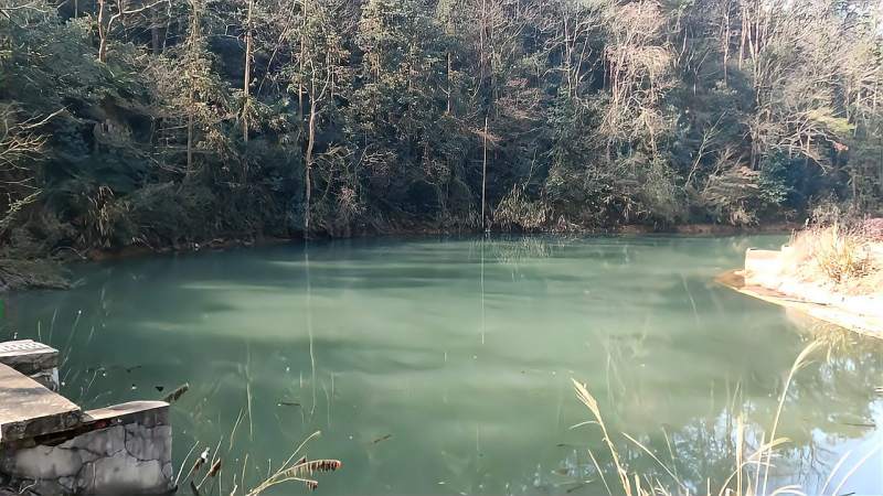 大山冲森林公园