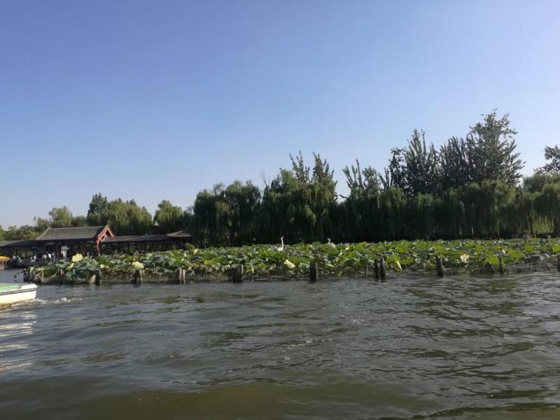 大明湖必去的三个景点
