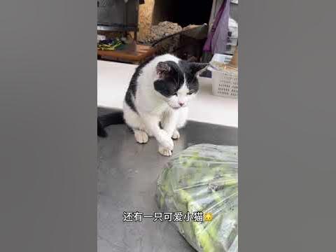 大渡口森林公园