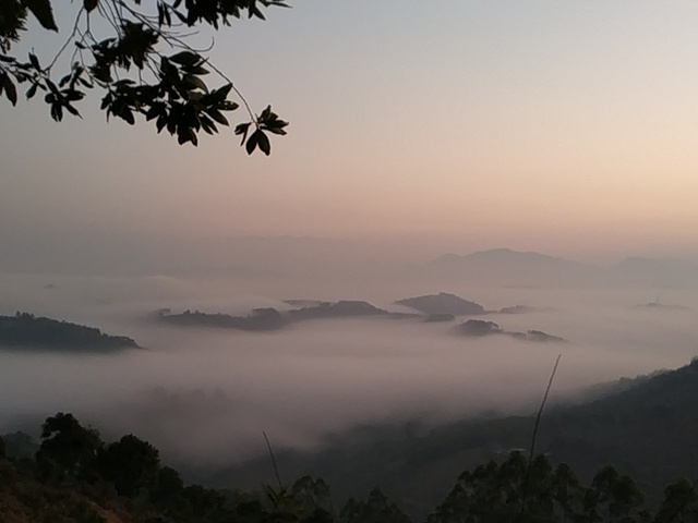 大王山森林公园