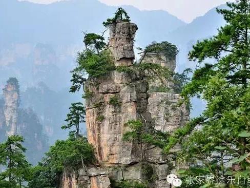天子山海拔多少米高