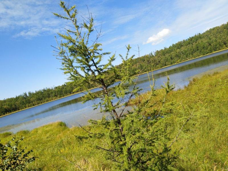 天池的最笨找法