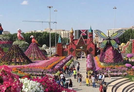 奥古斯丁花园的奇迹