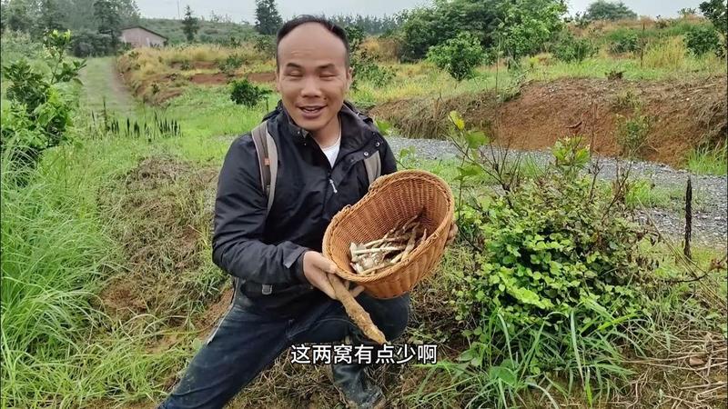 始兴鸡窝最出名三个地方