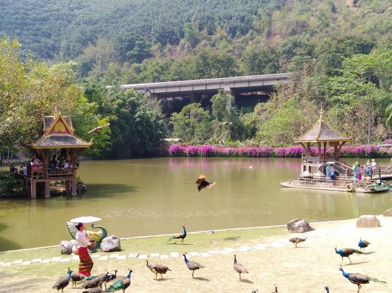 孔雀湖公园好玩吗