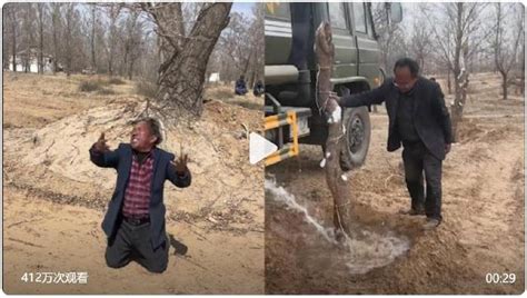 孙国友沙漠植树是否真实