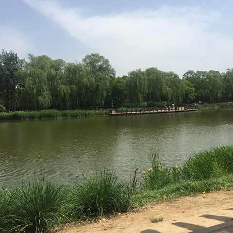 将府公园哪个门好玩