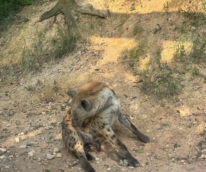 小谭山没有天文台清明谷雨百度网盘