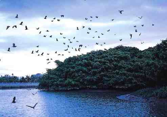 小鸟的天堂什么时候去比较合适