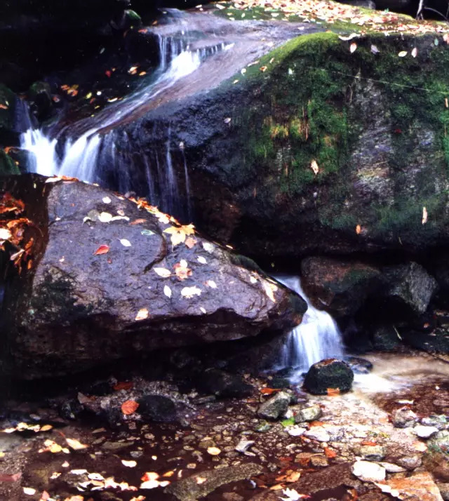 尧山海拔多少米高