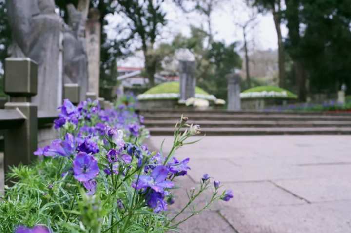 岳王庙要预约吗