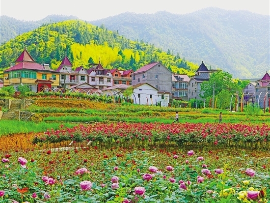 常山属于哪个市