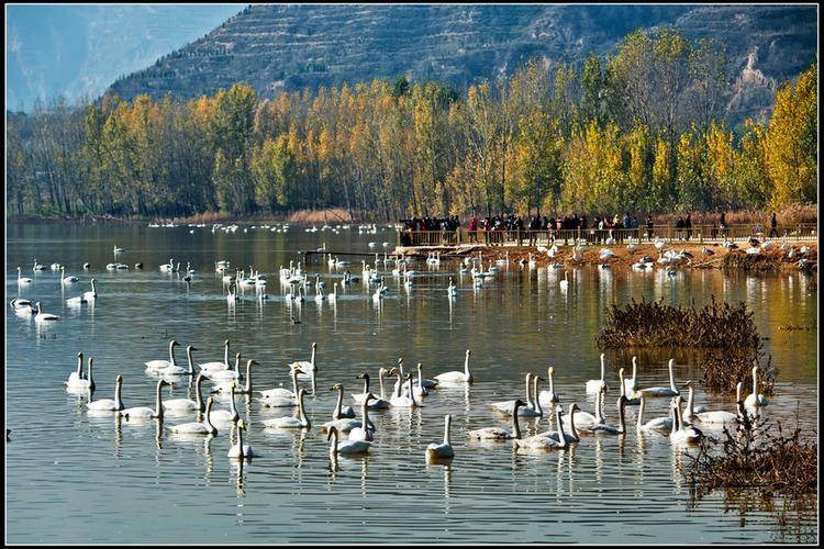 平陆县旅游景点有哪些