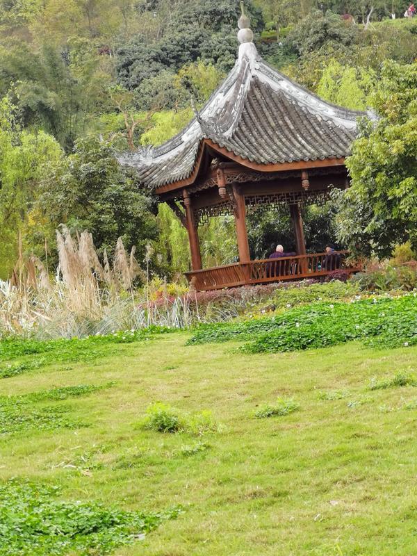 张坝桂圆林风景区