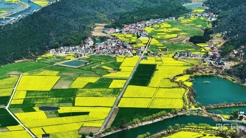 彭泽县有哪几个乡镇