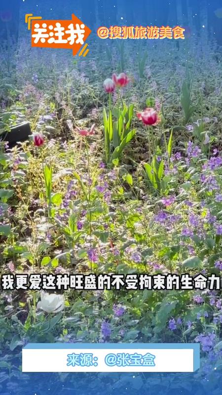 徒步西湖路线攻略