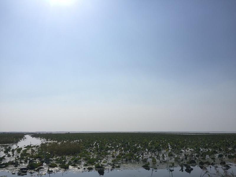 微山湖的水是从哪里来的