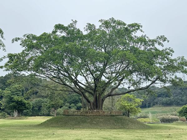 恩上湿地公园