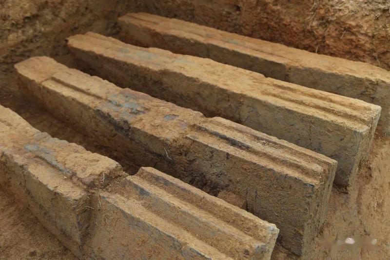 惠民县台子陈遗址