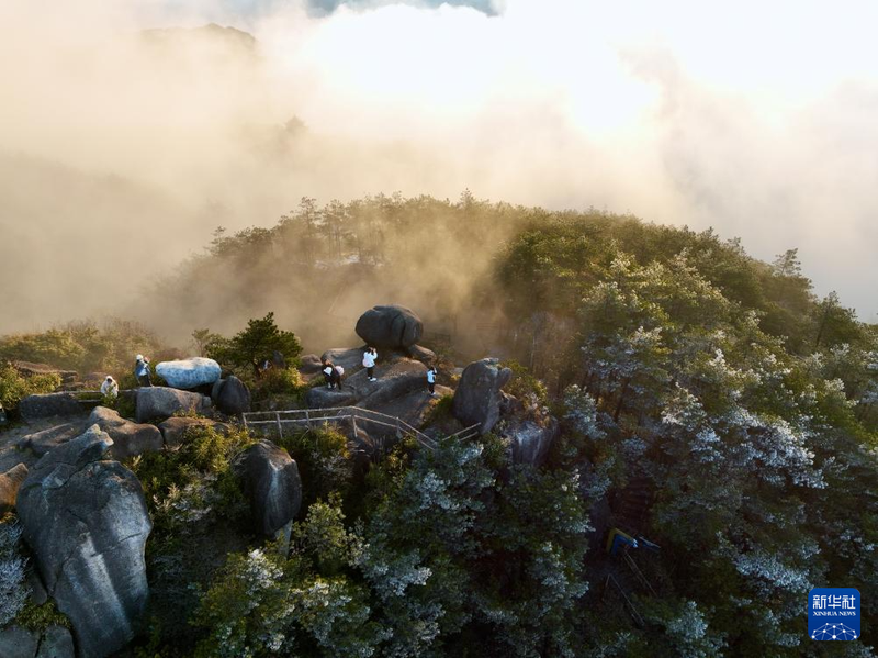 戴云海拔多少米高