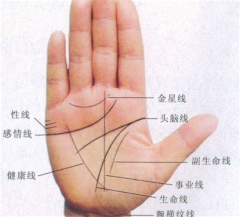 手相是真的可信吗