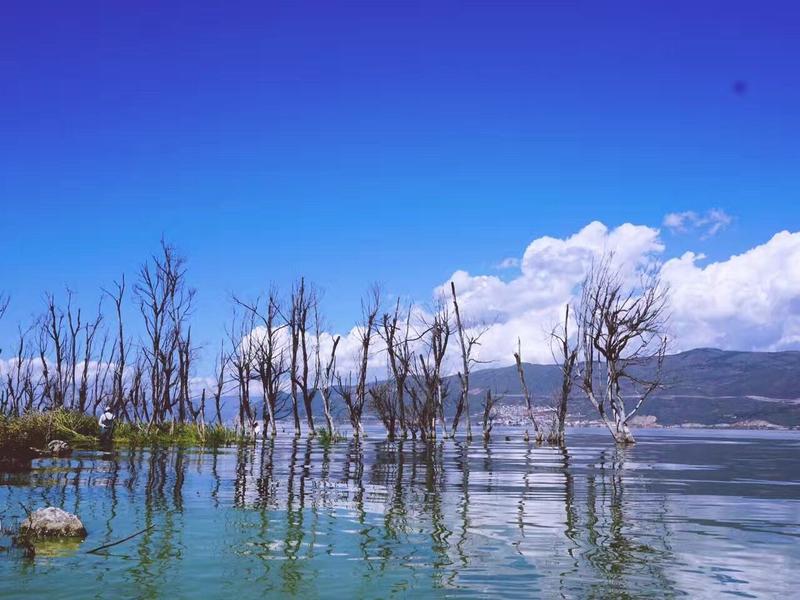 才村和龙龛码头哪个好