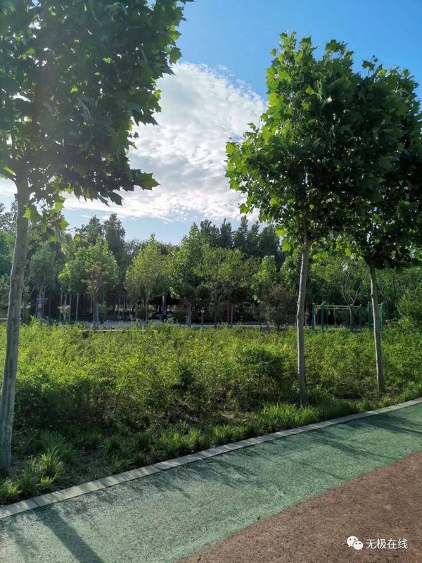 无极县属于哪个省哪个市