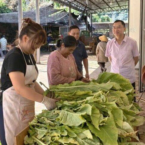 易门县气候特点