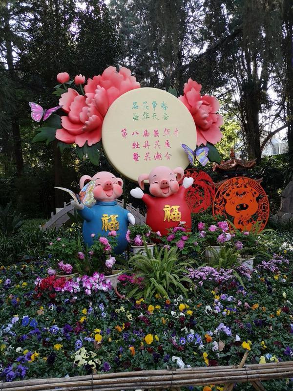 昙华寺图片大全