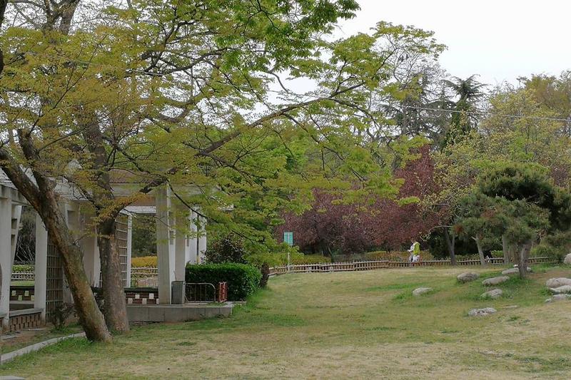 春意盎然的公园