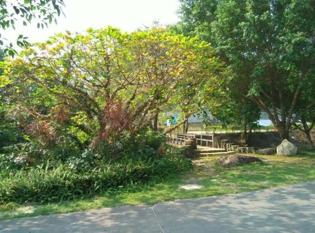 春都温泉现状