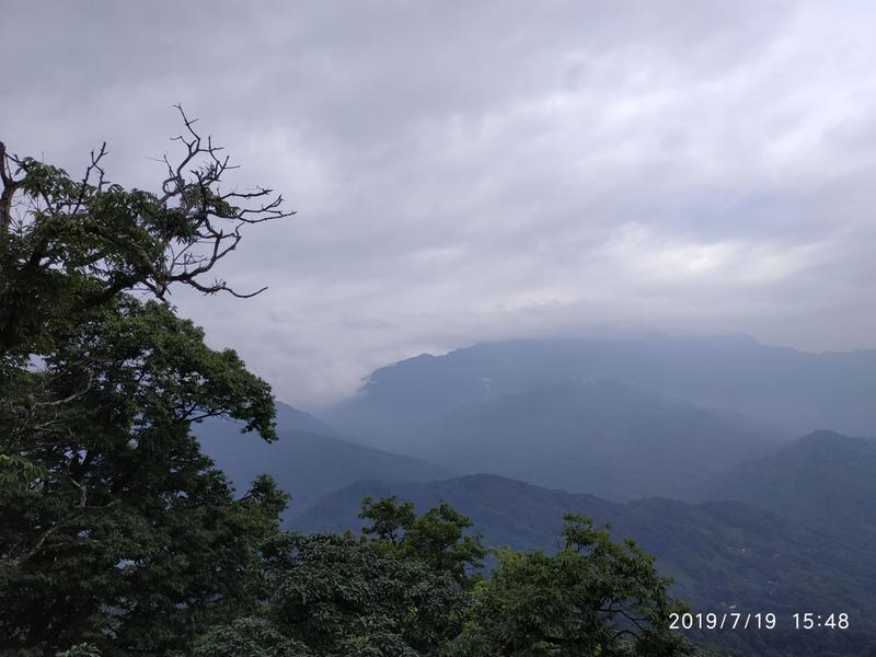 月城是哪个城市