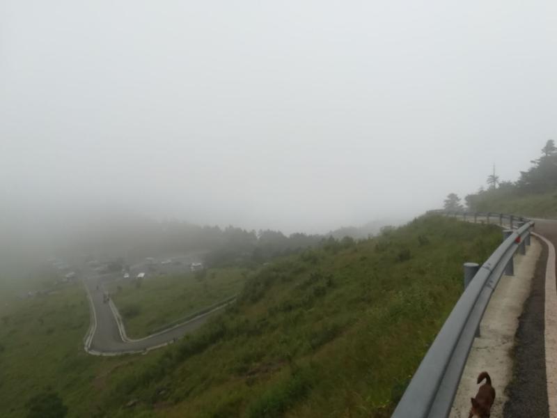 望洲顶海拔多高