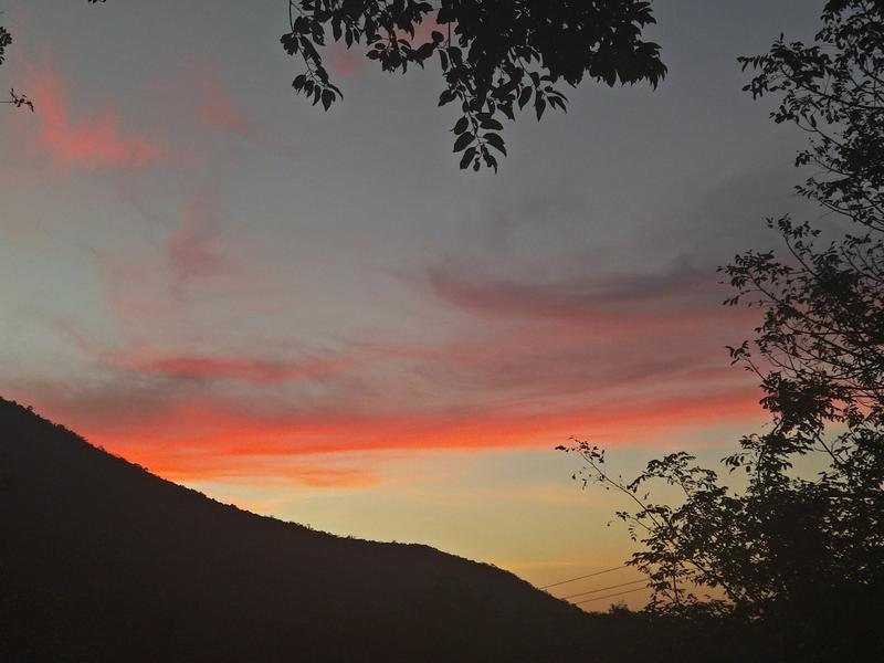 李花谷风景区