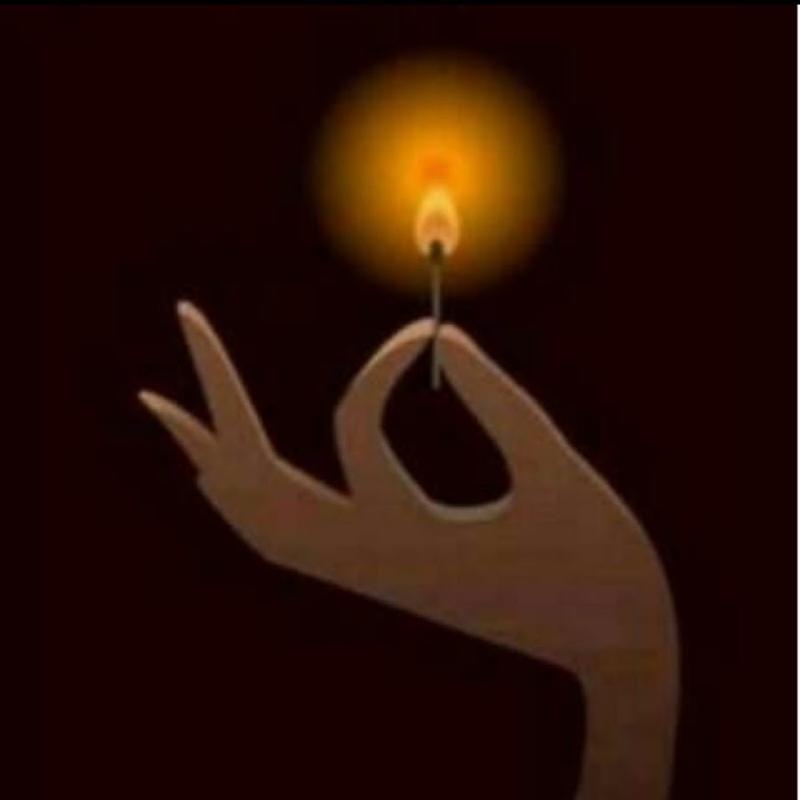 杨宁易度门收费