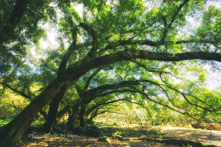 杨家溪在哪里个城市