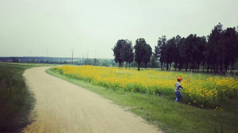 松云岭公园在哪