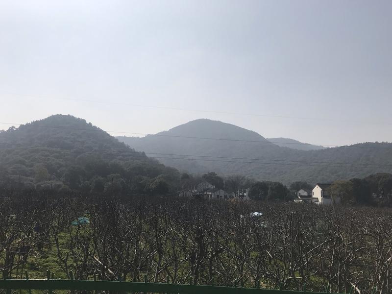 树山必玩三个景点