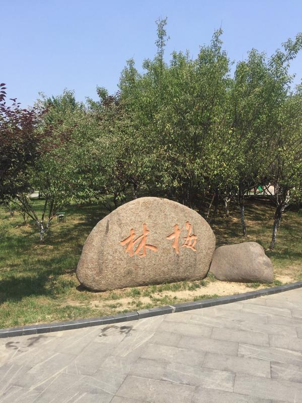 梅里古镇简介和历史