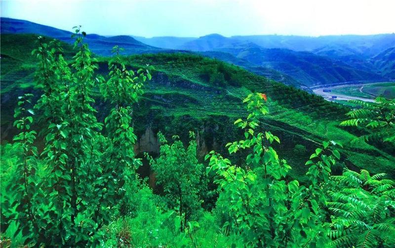 毛乌素沙漠在哪个省