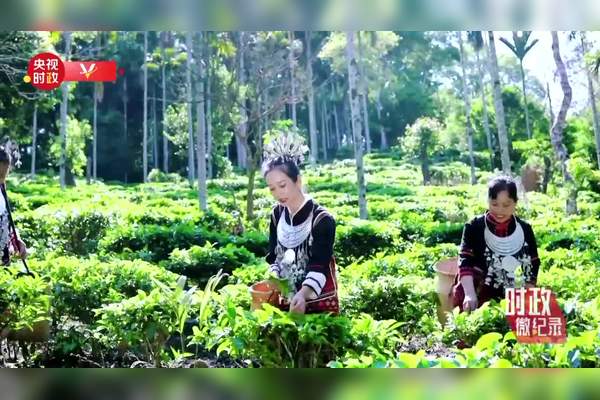 毛纳村一日游攻略