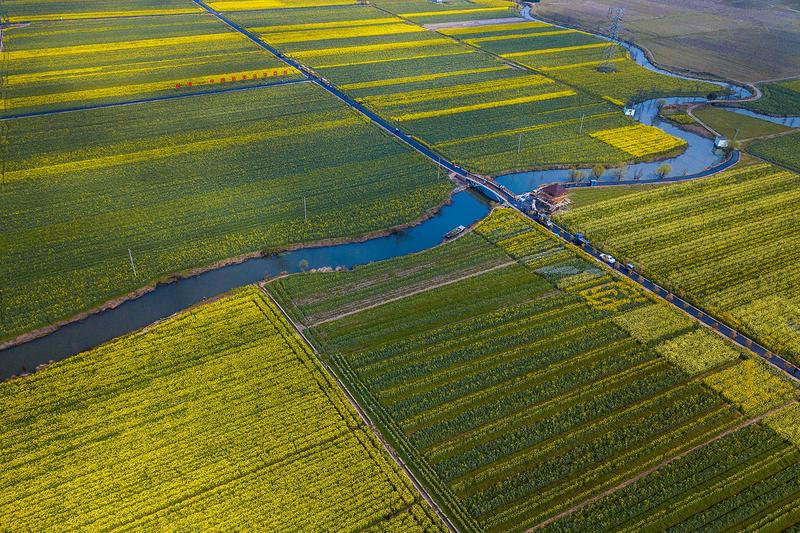 水上油菜花在什么地方